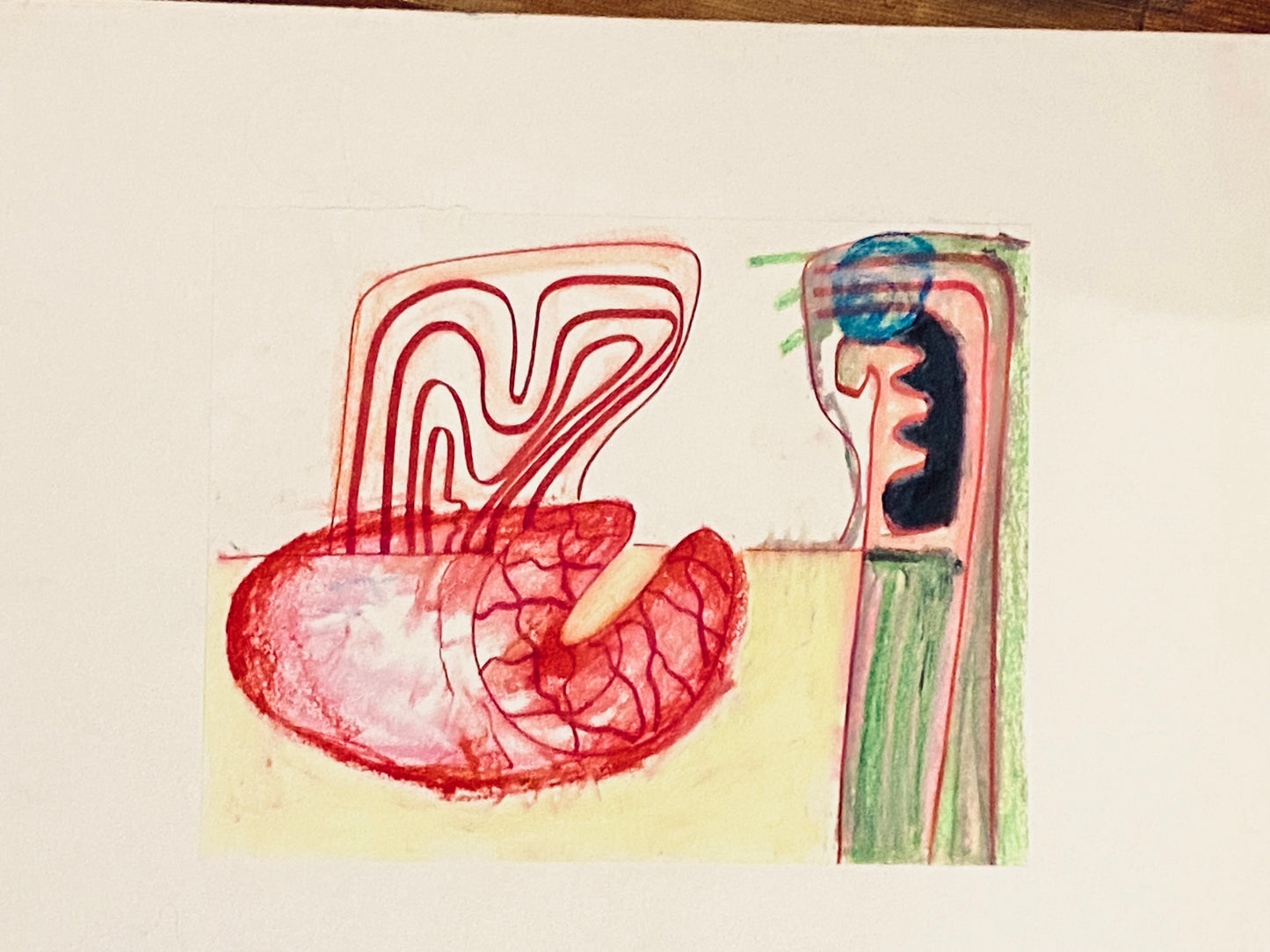 "Nervous system"