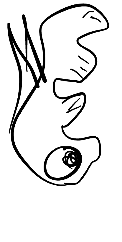 “Kinduv Kreatures”