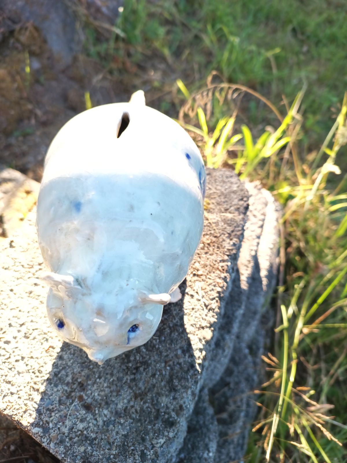 Beast piggy bank with blue fence