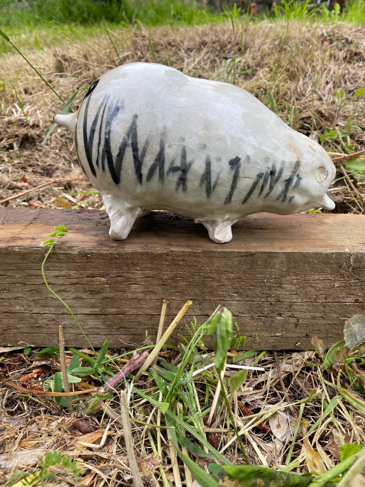 Beast piggy bank with grass