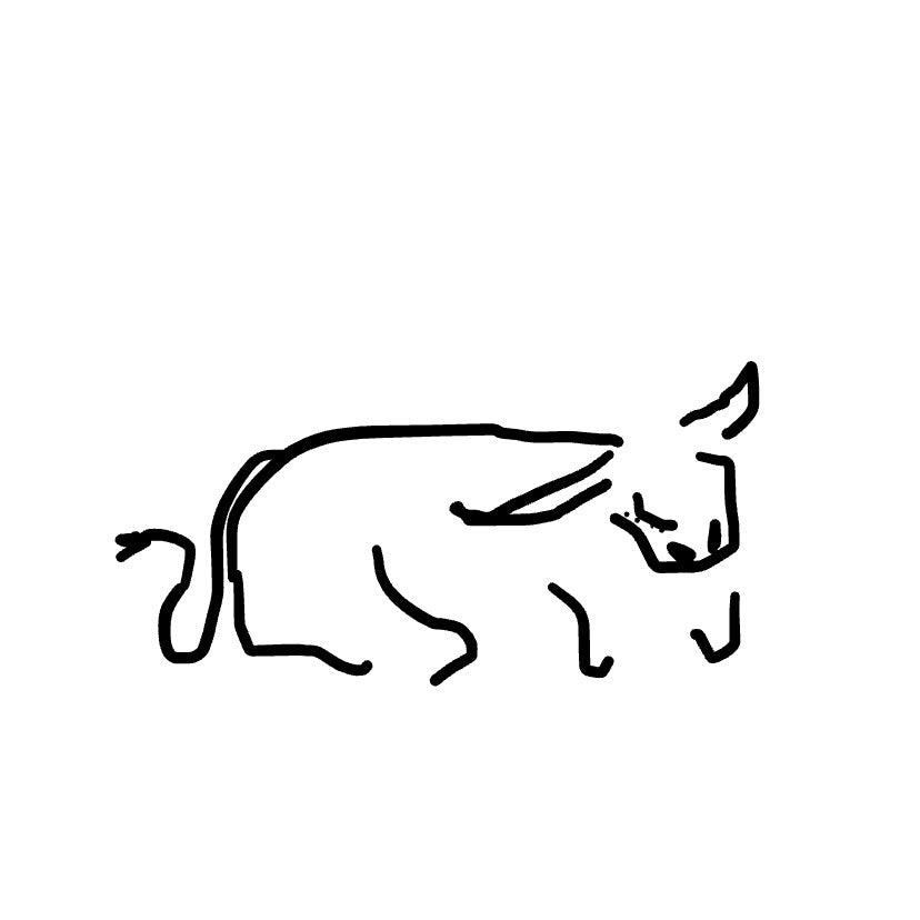 The Yak Pak