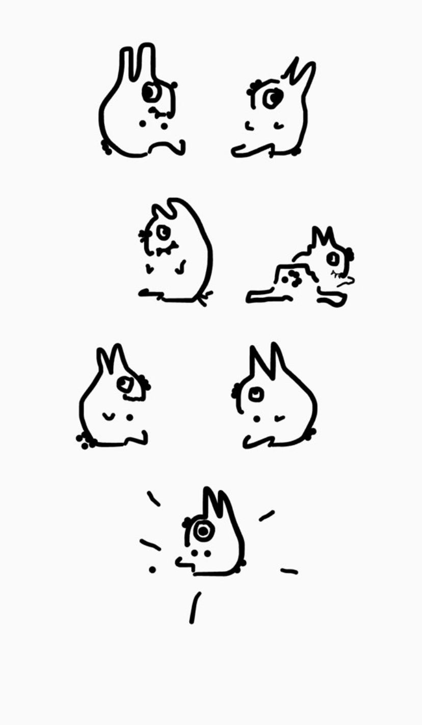 “Sum kinds of Rabit”