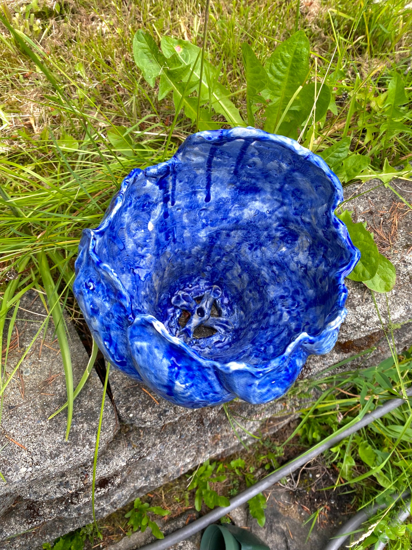 Cobalt blue flower pot