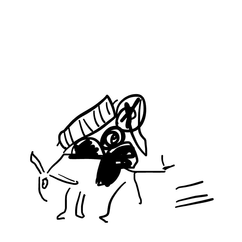 The Yak Pak