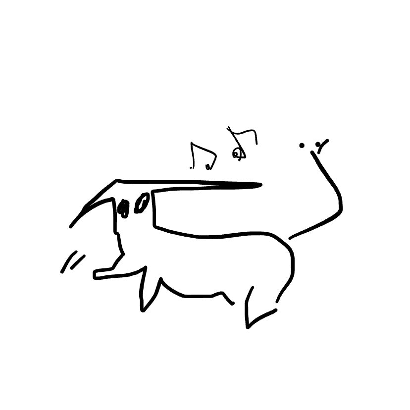 The Yak Pak