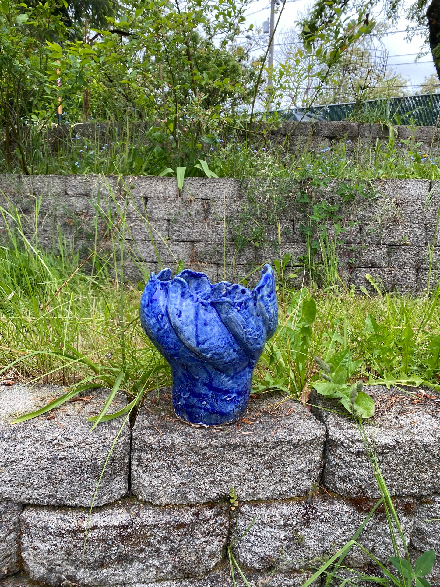 Cobalt blue flower pot