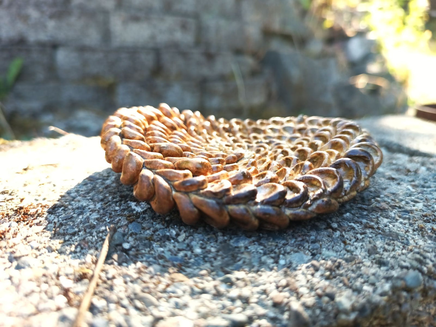 Textured amber dish, small