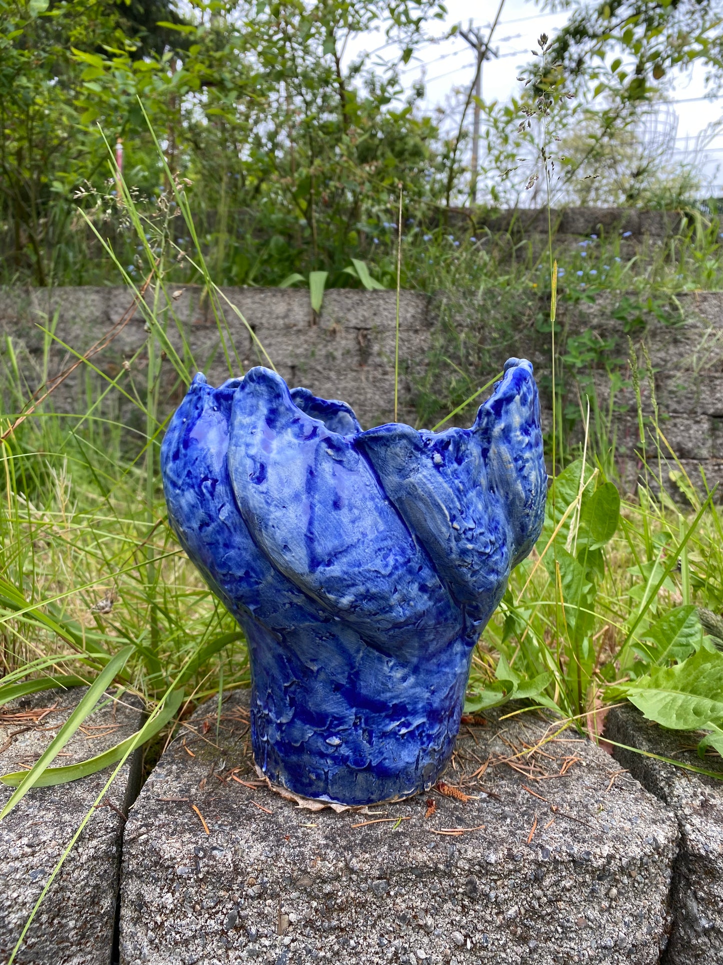 Cobalt blue flower pot